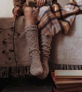 forest, camp and coffee