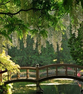 cabincore, green and aesthetic