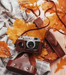 autumn atmosphere, autumn love and beautiful autumn