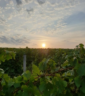 balkan, slavonija and jutro