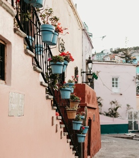 cities, inspiration and flowes