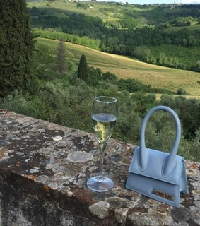bag, wine and moschino
