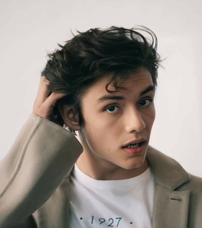 louis partridge, theme pics and rp model