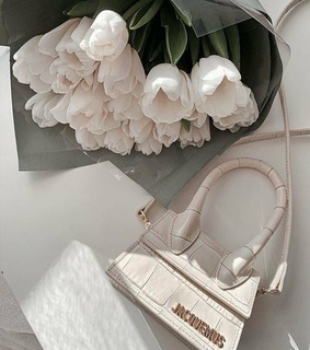bag, purse and jacquemus