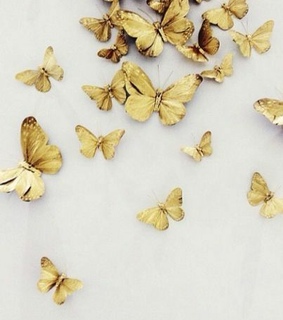 fools gold, butterflies and shiny