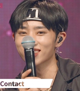 lq, soft and showcase