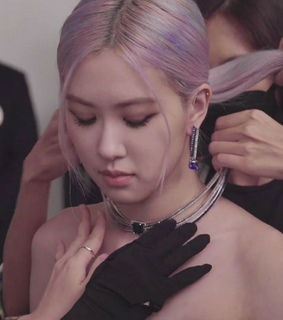 icon, park chaeyoung and model