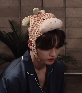 lq lee know, lq minho and lq kpop