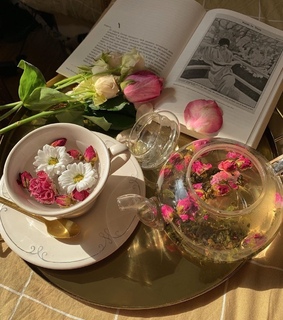 naturecore, cabincore and aesthetic