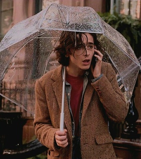 without him, cmbyn and timotheechalamet