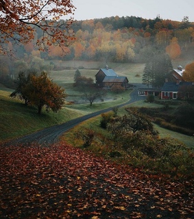 autumn, neighborhood and cold