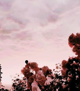 nature, views and beautiful