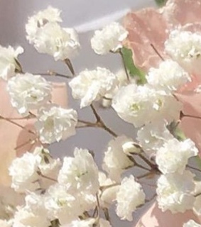 flowers, baby and pastel