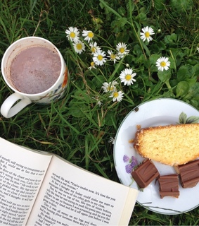 nature, aesthetic and cottagecore