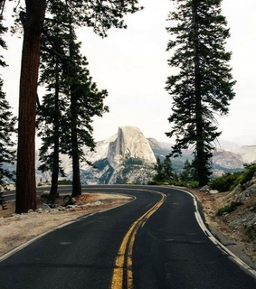 stone, pine tree and skies