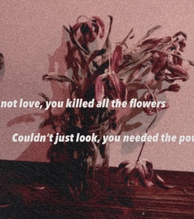 aesthetic, feelings and lyrics