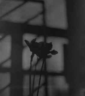 abstract, film photography and sadness