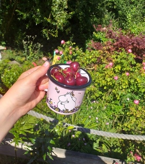 green, cabincore and greenary