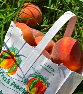 greenary, green and cottage