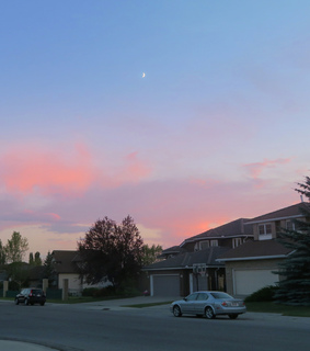 dream, purple and fantasy