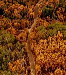 halloween, nature and beauty