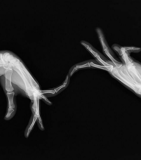 grunge, dark theme and skeleton