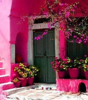 flowers, colors and pink