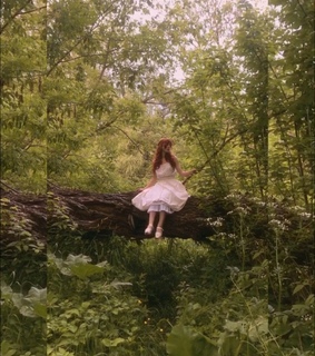 plants, green aesthetic and nature