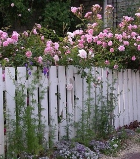 pastel pink, minimalist and pale pink