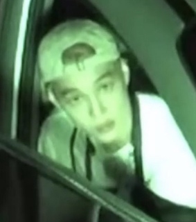 icons, webcore and exo