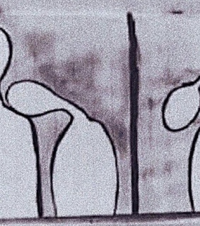 grain, drawing and attachment