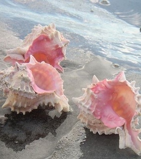 fairycore, nature and mermaid