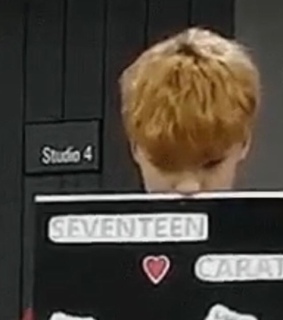 aesthetic, vernon and soft core