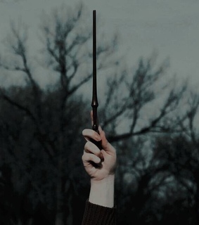wand, harry and slytherin