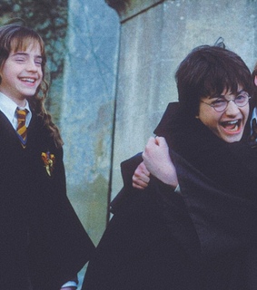 picture, weasley and hermione granger