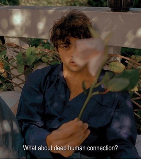 sad, roses and quote