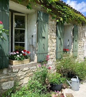 green, greenary and nature