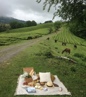 cabincore, green and aesthetic