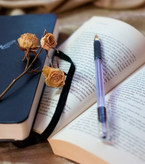 coopik, moleskine and rose