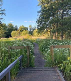 green, cabincore and cottage