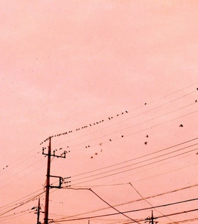 city, pale and aesthetic