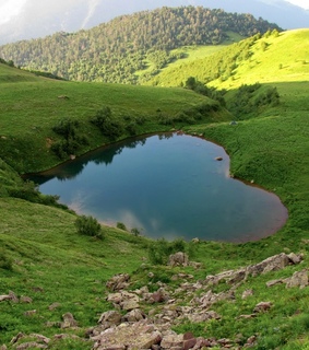 cute, cottagecore and softcore