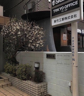 street, cherry blossom and city