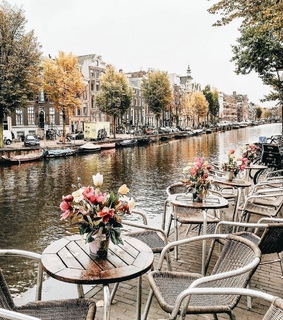 flowers, travel and cities