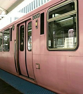 vehicle, vacation and chic