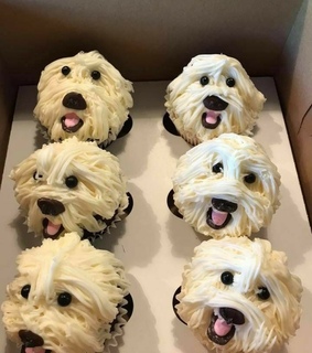 cute, dessert and food porn