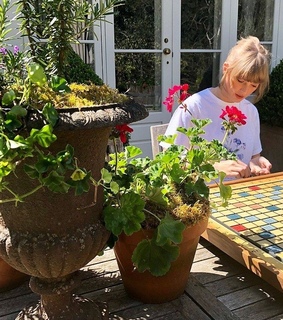 green, plants and lover