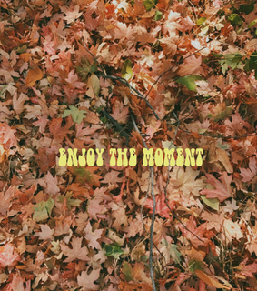 autumn, quotes and fall