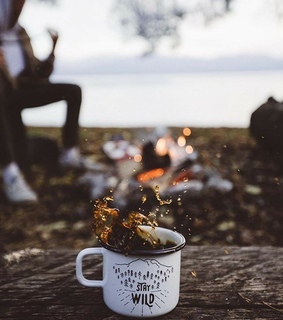 aesthetic, wild and camp