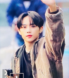 blue, brown and kim sunwoo